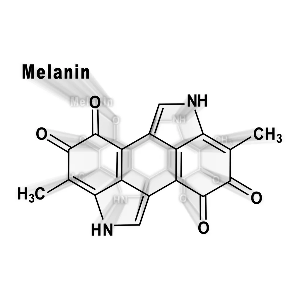 neuromelanin, what is melanin, eumelanin, phenomelanin